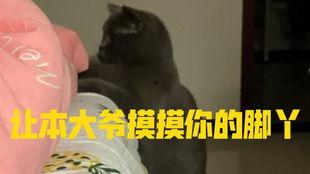 带你吃瓜搞笑小视频,笑料百出！带你领略“带你吃瓜搞笑小视频”的欢乐时光