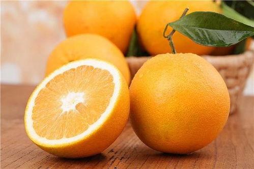 橙子吃葫芦瓜的视频播放,一场趣味横生的美食对决