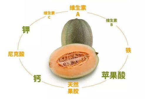 吃海南哈密瓜视频,甜蜜滋味尽收眼底