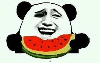 门主吃瓜视频,揭秘娱乐圈幕后故事