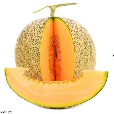 鸟会吃哈密瓜吗视频教程,揭秘哈密瓜在鸟类世界中的受欢迎程度