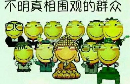 吃瓜英语推荐视频博客